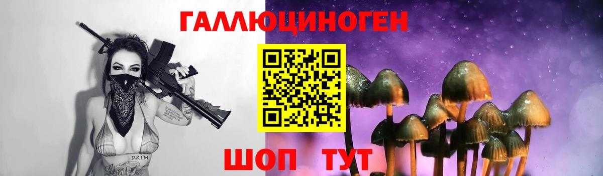 Вятские Поляны  Псилоцибиновые грибы мухоморы  Псилоцибиновые грибы GOLDEN TEACHER  Вход с VPN 